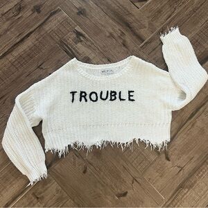 Wildfox long sleeve knit cropped sweater - oversized